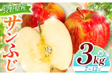 【2025年先行予約】浅野農園 サンふじ 3kg ｜ リンゴ りんご 林檎 果物 くだもの フルーツ 果実 果汁 サンふじ 長野県 松川村 信州 北アルプス