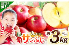 【2025年先行予約】浅野農園 訳あり サンふじ 丸かじりSSサイズ 3kg ｜ リンゴ りんご 林檎 果物 くだもの フルーツ 果実 果汁 訳あり 小玉 丸かじり SSサイズ サンふじ 長野県 松川村 信州