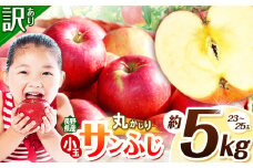 【2025年先行予約】浅野農園 訳あり サンふじ 丸かじりSSサイズ 5kg ｜ リンゴ りんご 林檎 果物 くだもの フルーツ 果実 果汁 訳あり 小玉 丸かじり SSサイズ サンふじ 長野県 松川村 信州 北アルプス