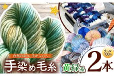 ウール100％手染め毛糸 2本 黄緑系 ｜  毛糸 ウール ウール100％ 手染め 裁縫 手芸 長野県 松川村 信州