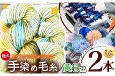 ウール100％ 手染め毛糸（極太） 2本 黄緑系 ｜  毛糸 ウール ウール100％ 手染め 裁縫 手芸 長野県 松川村 信州