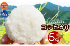 【令和7年度産先行予約 3回定期便】北アルプス高橋農園のコシヒカリ 5kg ｜ 米 お米 こめ コシヒカリ こしひかり 白米 精米 定期便 長野県 松川村 栽培期間中農薬不使用 地域おこし 北アルプス 信州