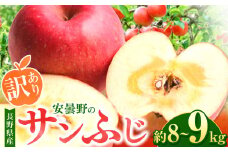 *【2025年先行予約】訳あり サンふじ 約8～9kg ｜ 東印平林農園 リンゴ りんご 林檎 果物 フルーツ 果実 果汁 サンふじ さんふじ わけあり 訳アリ 長野県 松川村 信州 安曇野