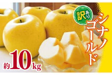 【2025年先行予約】 訳あり シナノゴールド 約10kg ｜  外川果樹園 リンゴ りんご 林檎 果物 フルーツ 果実 果汁 シナノゴールド 訳あり わけあり 長野県 松川村 信州