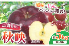 *【2025年先行予約】 家庭用 秋映 約5kg｜ 北條農園 リンゴ りんご 林檎 果物 フルーツ 果実 果汁  秋映 家庭用 長野県 松川村 信州