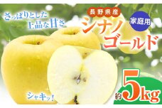 *【2025年先行予約】 家庭用 シナノゴールド 約5kg｜ 北條農園 リンゴ りんご 林檎 果物 フルーツ 果実 果汁  シナノゴールド 家庭用 長野県 松川村 信州