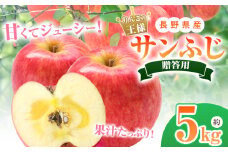 *【2025年先行予約】 贈答用 サンふじ 5kg｜ 北條農園 リンゴ りんご 林檎 果物 フルーツ 果実 果汁 サンふじ サンフジ 贈答用 長野県 松川村 信州