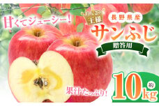 *【2025年先行予約】 贈答用 サンふじ 10kg｜ 北條農園 リンゴ りんご 林檎 果物 フルーツ 果実 果汁 サンふじ サンフジ 贈答用 長野県 松川村 信州