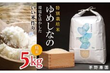  【令和7年度産先行予約】特別栽培米 ゆめしなの 5㎏（精米） | 米 お米 コメ こめ 精米 白米 はくまい ゆめしなの 栽培米 特別栽培米 長野県 松川村 信州