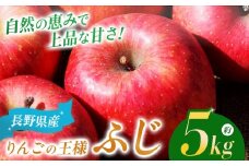 *【2025年先行予約】 ふじ 5kg｜ マルヒラ農園 リンゴ りんご 林檎 果物 フルーツ 果実 果汁 ふじ 長野県 松川村 信州