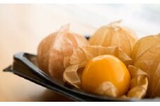 【2025年産先行予約】南国フルーツのような甘酸っぱさ！フルーツほおずき（生食用）100g×2パック/長野県白馬村　スーパーフード【C0360328】