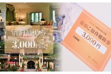 長野県白馬村 宿泊補助券3,000円分(3,000円分×1枚)宿泊補助券 チケット 補助券 ギフト券 贈答 プレゼント 民宿 旅館 ペンション ホテル コンドミニアム 宿泊施設 便利 おすすめ 人気 送料無料【K0130233】