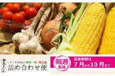 【期間限定】白馬そだち（旬の野菜・米・加工品）詰合せ便（全9回）2025年7月から10月までの隔週でお届け/長野県白馬村　旬の野菜　詰め合わせ　セット　直送【H0040197】