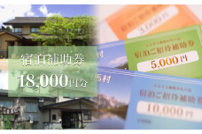長野県白馬村 宿泊補助券 18,000円分(10,000円分×1枚、5,000円分×1枚、3,000円分×1枚) 宿泊補助券 チケット 補助券 ギフト券 贈答 プレゼント 民宿 旅館 ペンション ホテル コンドミニアム 宿泊施設 便利 おすすめ 人気 送料無料【K0130232】