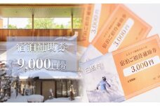 長野県白馬村 宿泊補助券9,000円分(3,000円分×3枚)宿泊補助券 チケット 補助券 ギフト券 贈答 プレゼント 民宿 旅館 ペンション ホテル コンドミニアム 宿泊施設 便利 おすすめ 人気 送料無料【K0130235】