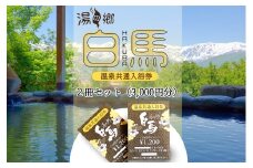 湯の郷 白馬 温泉共通入浴券2冊セット 3,000円分(100円分×15枚綴り×2冊セット)/長野県白馬村　温泉巡り　湯めぐり　源泉　【L0230293】