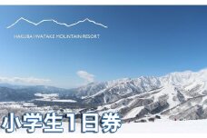 白馬岩岳スノーフィールドリフト券＜小学生1日券 1枚＞/長野県白馬村  HAKUBA IWATAKE スキー チケット パウダースノー ゲレンデ 北アルプス 白馬岩岳スノーフィールド おすすめ 人気 ウィンタースポーツ ギフト 贈答 【L0200280】