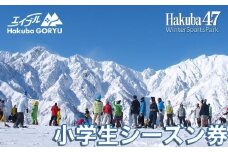 長野県エイブル白馬五竜&Hakuba47スキー場共通シーズン券＜小人1枚＞（小学生：6〜12歳）/長野県白馬村  こども  子供  スキー チケット シーズン券  パウダースノー ゲレンデ 北アルプス エイブル白馬五竜 Hakuba47 おすすめ 人気 ウィンタースポーツ ギフト 贈答 【L0190279】