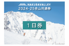 HAKUBA VALLEY 10スキー場共通1日券（2枚）