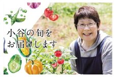 【年4回発送】小谷村特産品定期便｜おたりの旬をお届けします