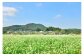 コシがあり喉ごしもよく、風味豊かなそばは、地元でも大人気です。