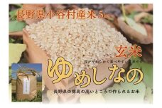長野県小谷村百姓七人衆のゆめしなの【玄米】　５kg