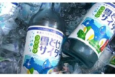 雪どけサイダー20本セット　340ml×20本