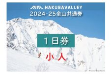 HAKUBA VALLEY 10スキー場共通小人1日券・小人（2枚）※6歳～12歳