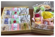 [№5729-0059]信州坂城が誇る銘菓　和菓子と洋菓子の詰め合わせセット
