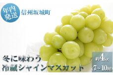 [№5729-0231]【11・12月発送】冬に味わう！冷蔵貯蔵シャインマスカット約4kg (7～10房)