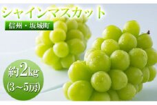 [№5729-0232]宮原農園のシャインマスカット　約2kg (3～5房)