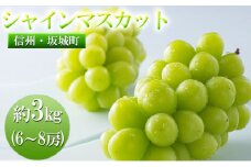 [№5729-0233]シャインマスカット 約3kg 6房～8房 宮原農園 ぶどう 長野 マスカット ブドウ フルーツ 果物 シャイン【 果物類 】