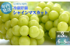 [№5729-0236]【11・12月発送】冬に味わう！冷蔵貯蔵シャインマスカット 約3kg (6～8房)