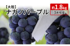 [№5729-0297]ナガノパープル 約1.8kg 3房程度 長野 坂城町産 ぶどう K＆Y農園 ブドウ フルーツ 果物 果物類 