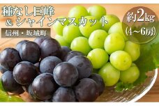 [№5729-0303]種無し 巨峰 シャインマスカット 約2kg 4～6房 宮原ぶどう園 ぶどう 長野 マスカット ブドウ フルーツ 果物 シャイン【 果物類 】