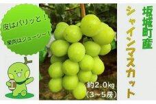 [№5729-0310]シャインマスカット 約2.0kg 3房～5房 柳澤果樹園 ぶどう 長野 マスカット ブドウ フルーツ 果物 シャイン【 果物類 】