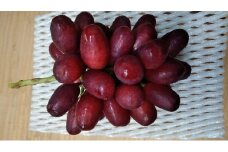 [№5729-0350]クイーンセブン約1kg（3～4房）