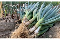 [№5729-0360]豊樹 -HOU JU- 2kg（約10～15本）