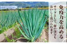 [№5729-0361]やわらか千手 2kg（約15～20本）
