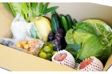[№5729-0363]信州盛りだくさん野菜セット①※配送不可地域あり