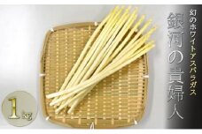 [№5729-0367]信州・坂城産　ホワイトアスパラガス「銀河の貴婦人」サイズS・M・Lセット　約1kg