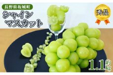 [№5729-0400]シャインマスカット 約1.1kg 房 秀品 赤坂果樹園 ぶどう 長野 マスカット ブドウ フルーツ 果物 シャイン【 果物類 】