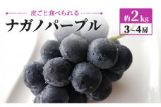 [№5729-0427]皮ごと食べられる 坂城町産 ナガノパープル 約2kg（3～4房）