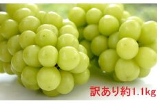 [№5729-0432]（地域・期間限定）訳あり赤坂果樹園のシャインマスカット約1.1kg