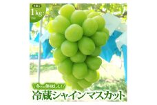 [№5729-0438]【年内お届け】 シャインマスカット 冷蔵 1kg以上 富山葡萄園 ぶどう 長野 マスカット ブドウ フルーツ 果物 シャイン【 果物類 】
