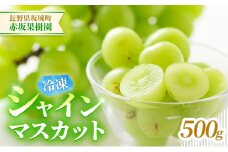 [№5729-0469]冷凍シャインマスカット