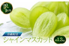 [№5729-0471]訳あり シャインマスカット 約1.2kg 赤坂果樹園 ぶどう 長野 マスカット ブドウ フルーツ 果物 シャイン【 果物類 】