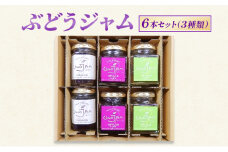 [№5729-0483]ぶどうジャム 6本セット（３種類）ジャム ブドウ 瓶 ギフト 長野 信州 坂城