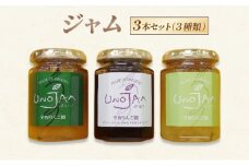 [№5729-0484]ジャム 3本セット（３種類） りんご ぶどう ラ・フランス 瓶 ギフト 長野 信州 坂城