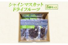 [№5729-0487]シャインマスカット ドライフルーツ 5個 セット 長野 信州 坂城
